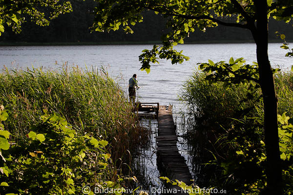 Masuren-Seewasser Schilf-Steg Angler in Grnbltter Gegenlicht Naturidylle Mazury jezioro