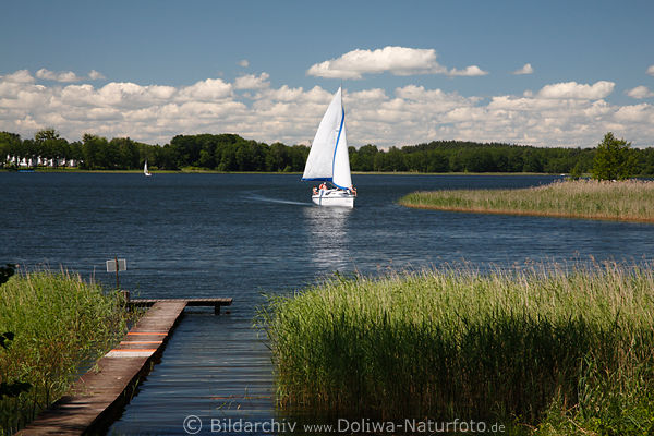 Kissainsee Wasser-Blick Schilf Seesteg Segelboot in Masuren Seenlandschaft Ostpreussen Naturidylle Mazury 