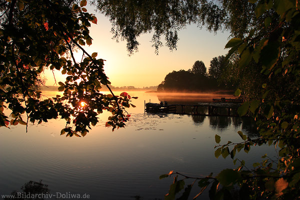 Sonnenaufgang ber Masurens Hessen-See Wasser Herbstnebel romantische Landschaft Brassendorf Holzstege