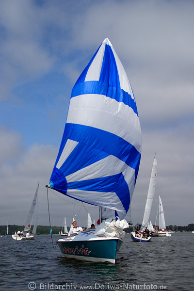 Masuren Skipper unter Blausegel in Wind Wasserlandschaft Lwentin-See (Niegocin)