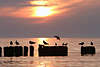Ostsee-Sonnenuntergang ber Wasserpfahle mit Mwen vor Seehorizont in Gegenlich