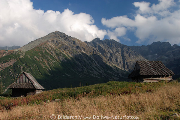 Holzhtten Gasienicowa Hala vor Hohe Tatra Berggipfel zlta Turnia links in Foto