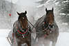 40626_Pferde schnauben schnaufen im Schlittengespann Lauf in Frost Schweiss Dampf Foto