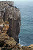 Hochklippen Angler an Felsen-Steilwand ber Meerwasser Ponta de Sagres