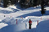 901194_ Frau in St. Moritz Foto auf winterlichen Spazierweg in Schnee, Pfad schlngelt sich rundum den See